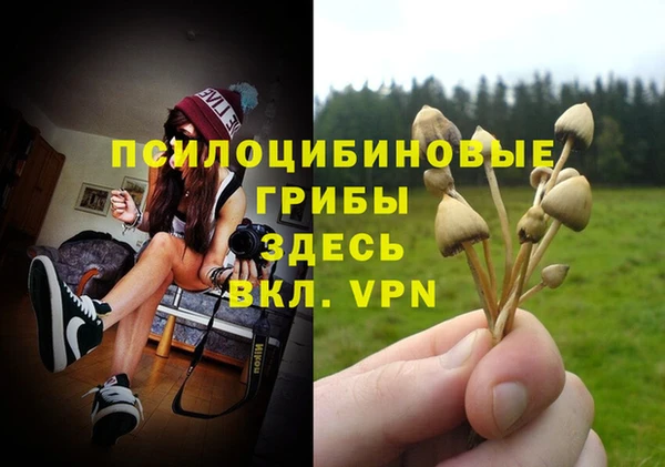 герыч Лиски