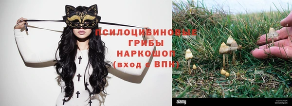 герыч Лиски