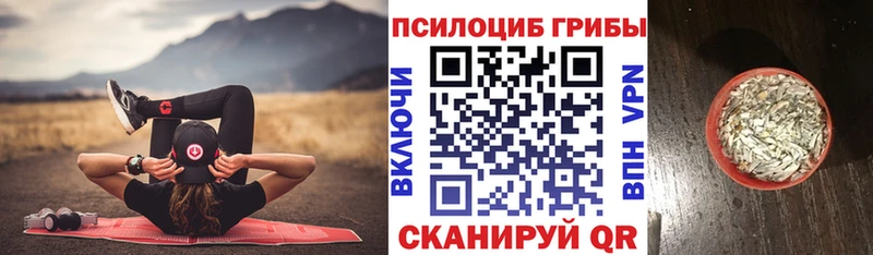 Псилоцибиновые грибы GOLDEN TEACHER  как найти закладки  Нолинск 