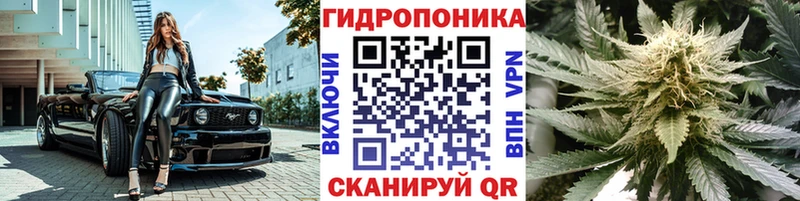 кракен сайт  Нолинск  МАРИХУАНА Bruce Banner 